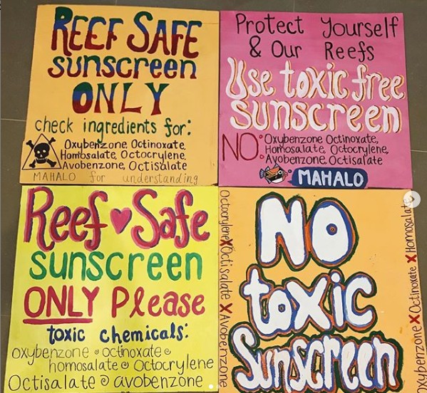 No Toxic Sunscreen