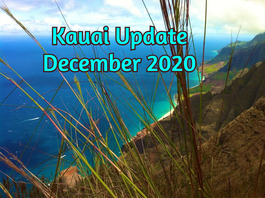 Blue Ocean Kauai 