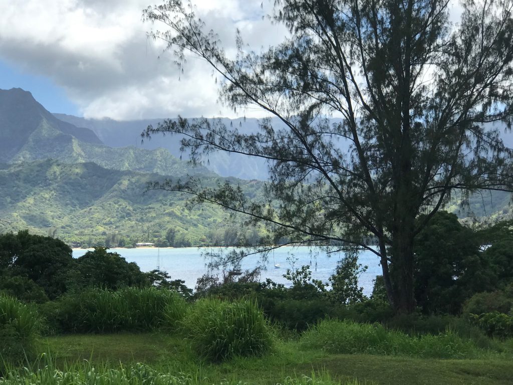 Hanalei Bay View Kauai 