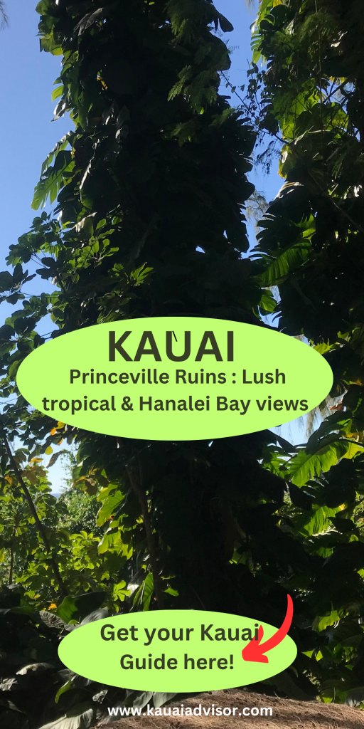 Tropical greenery on Kauai 