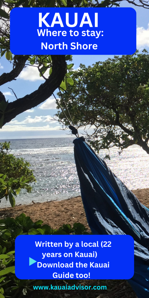 Hammock by the beach Kauai 